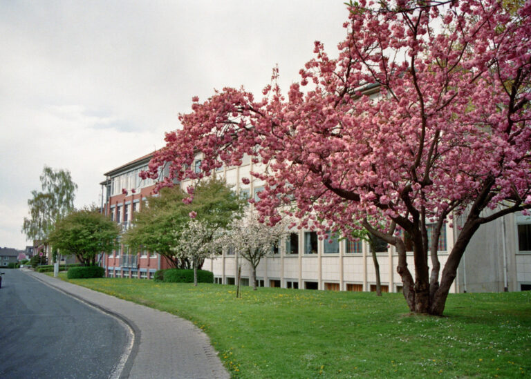 Mariengymnasium Werl