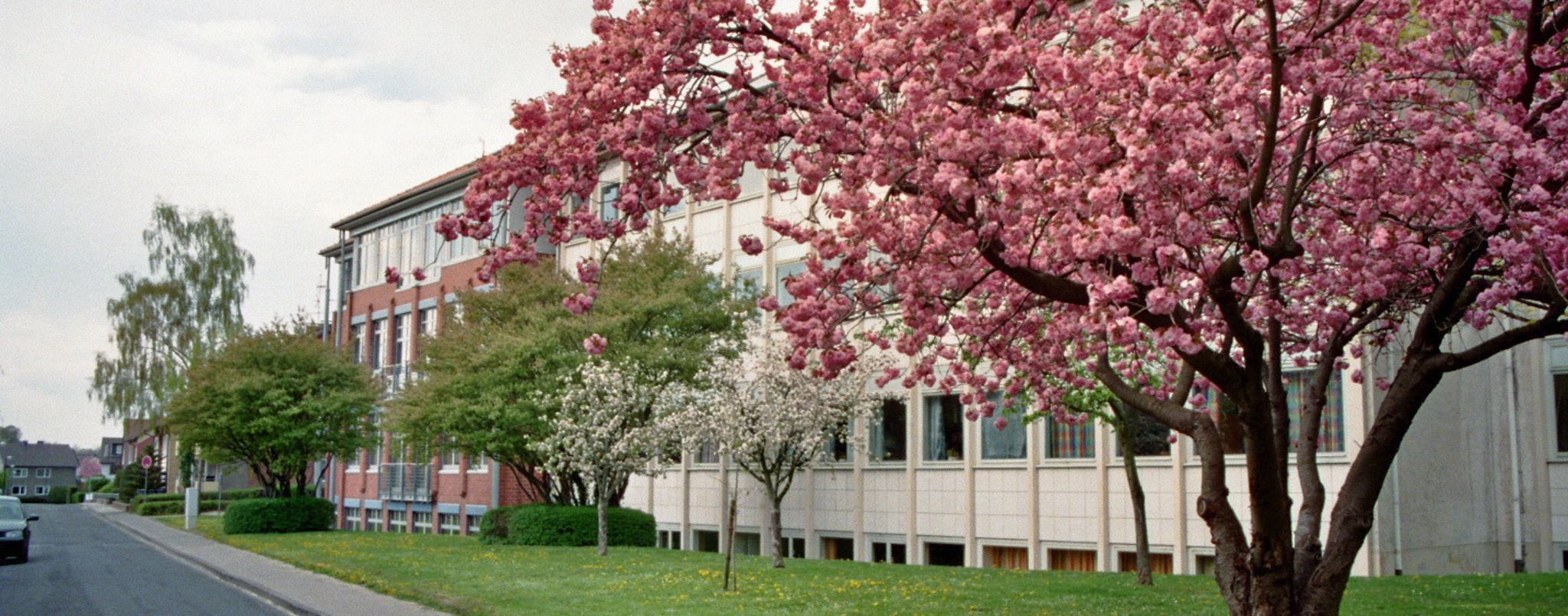 Mariengymnasium Werl